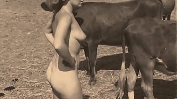 Vintage porn video with natural tits and hairy pussy